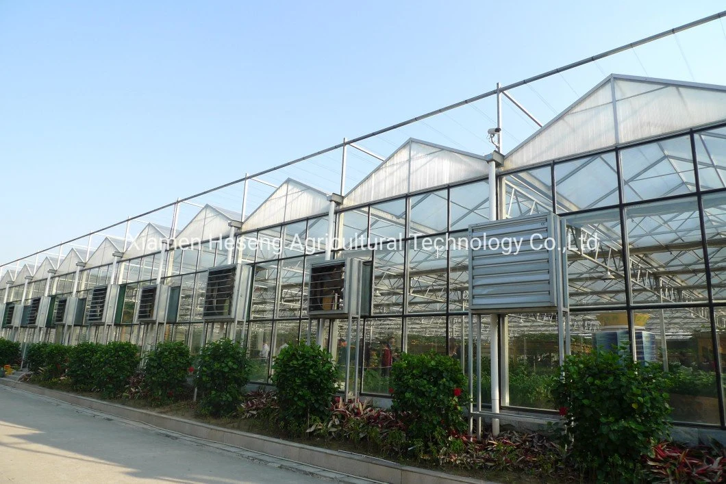 8mm/ 10mm Used Polycarbonate Greenhouse Commercial Multi Span/Single Span PC Sheet Greenhouse for Sale