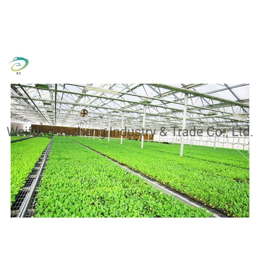 China Complete Polycarbonate PC Sheet Agricultural Greenhouse Turnkey Project with Quick Construction, Film Greenhouse