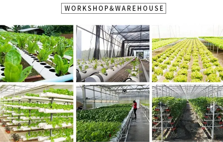 Vegetables Greenhouse Vertical PVC Nft Hydroponic Growing System