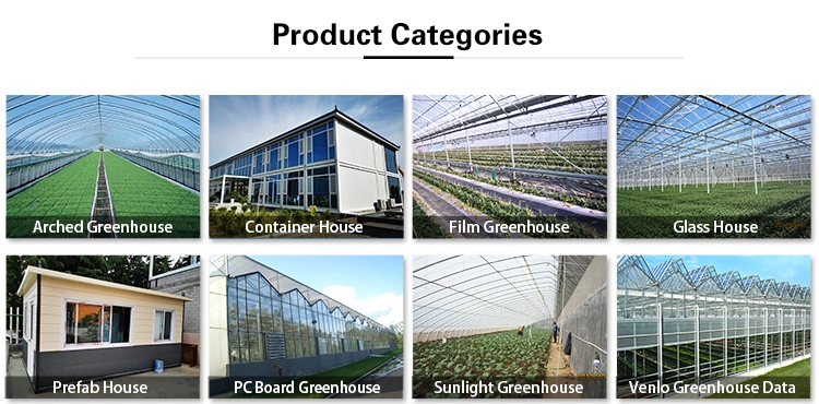 China Complete Polycarbonate PC Sheet Agricultural Greenhouse Turnkey Project with Quick Construction, Film Greenhouse