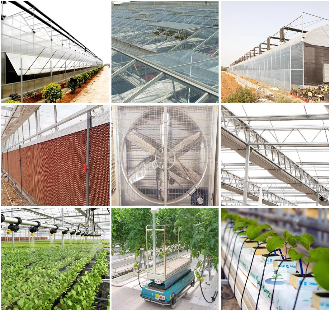 High Quality Vegetables/Garden/Flowers/Farm Multi Span PC Sheet/ Glass Greenhouse for Hydroponics System Plantable Tomato/Lettuce/Cucumber/Strawberry/Pepper